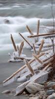 Frozen River Scene Icicles Adorn Driftwood Along a Flowing Stream. photo