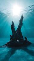 Sunlit Underwater Tree Stump A Serene Aquatic Scene. photo