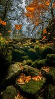 Autumn Leaves Falling into a Mossy Streambed An Underwater Perspective. photo