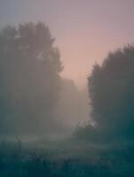 Misty Dawn Landscape Serene Field with Fog-Shrouded Trees. photo