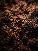A Close Up View of Numerous Earthworms in Dark Soil. photo