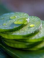 Close up of Sliced Aloe Vera with Water Droplets. A refreshing image showcasing the texture and natural beauty of aloe vera. photo
