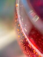 Abstract Close Up of Red Liquid with Bubbles and Light Reflections. photo