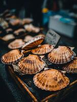 Close up of fresh scallops displayed in a wooden crate at a market. photo