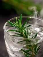 Close up of Rosemary Sprig in Sparkling Water with Ice. photo
