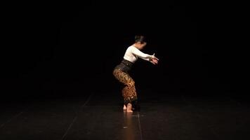 Graceful Dancer in Traditional Attire on Stage video