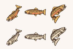 Hand Drawn Tiger Trout Set Color and Monochrome Fish Illustrations vector