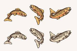 Tiger Trout Fish set Hand Drawn Colored and Monochrome Illustrations vector