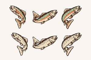 Rainbow Trout Illustration Set Hand Drawn Color and Monochrome Fish Collection vector