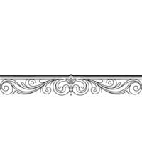 Elegant Floral Border on White Background - Ornate vector