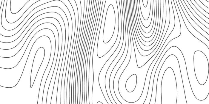 Terrain topographic map concept. Mountain height contour line background. Black and white landscape geographic pattern. Territory texture vector