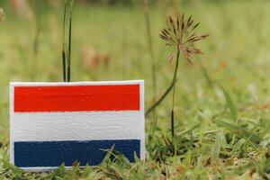 Netherlands flag Eco friendly Dutch flag, made of fabric and thread, placed on green grass with wildflowers. Green design theme reflecting earth day and global warming awareness. photo