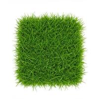 A vibrant square patch of lush green grass isolated on a pure white background photo