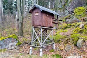 Elevated Rustic Wooden Cabin in Forest - Ideal for Nature Retreat and Eco-Friendly Design Concepts photo