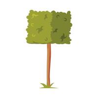 Green Shaped Bush with Lush Foliage as Park Zone Element Illustration vector