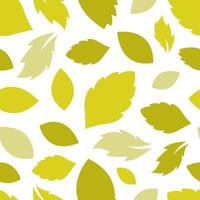 Seamless Pattern with Stevia Herb Leaves Background vector