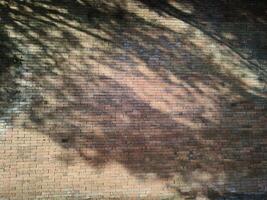 Brick of the wall, The bricks are arranged neatly and glued with cement to form a wall photo
