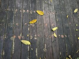 close up leaves fall on old wooden floor, Wooden textured surface with natural leaves background photo