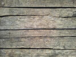 close up of old wood texture background photo