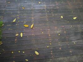 close up leaves fall on wooden floor, Wooden textured surface with natural leaves background photo