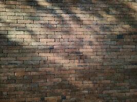 Brick of the wall with branch shadow, The bricks are arranged neatly and glued with cement with sadow photo