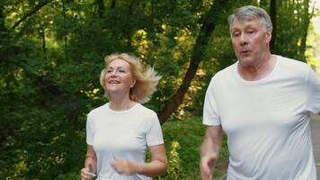 A senior couple runs happily through a lush green park, embracing an active lifestyle. Their joyful expressions reflect the benefits of staying fit at an older age. video