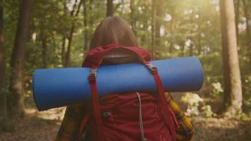 A person walks along a forest trail, carrying a red backpack and a blue sleeping mat. Sunlight filters through the trees, highlighting the vibrant greenery around them. video