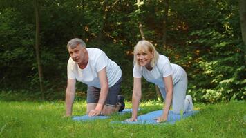 A senior couple engages in fun outdoor exercise, showcasing their commitment to fitness and wellness. Their joyful expressions highlight the benefits of staying active in nature. video