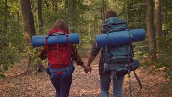 Two hikers holding hands walk along a forest trail surrounded by tall trees. They carry backpacks with sleeping pads, enjoying a beautiful day outdoors, embracing an active lifestyle. video