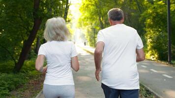 Rear view of senior couple jogs side by side along a lush path in a park. The sun filters through the trees, creating a peaceful and vibrant atmosphere perfect for exercise and companionship. video