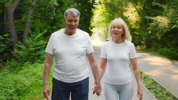 Senior couple in their 60s walk together hand in hand through a lush green park, demonstrating a healthy and active lifestyle while enjoying each other's company outdoors. video