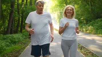 A senior couple is jogging side by side in a green park, enjoying the outdoors. They are dressed for comfort and look happy as they exercise in the lovely surroundings. video