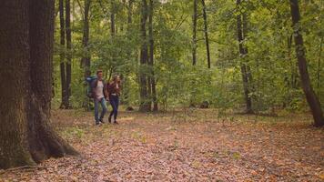 Friends enjoy an active lifestyle while hiking through a lush forest. The autumn leaves create a colorful carpet beneath their feet as they embrace nature together. video