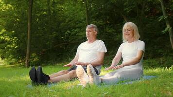 An active senior couple engages in stretching exercises in a peaceful park setting. Surrounded by trees, they enjoy the benefits of fitness at their age while fostering a healthy lifestyle. video