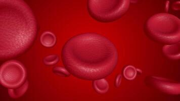 Red blood cells flowing through the bloodstream animation video