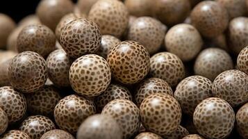 Pile of spotted seeds, close-up view, natural texture. photo