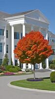 A large white building photo