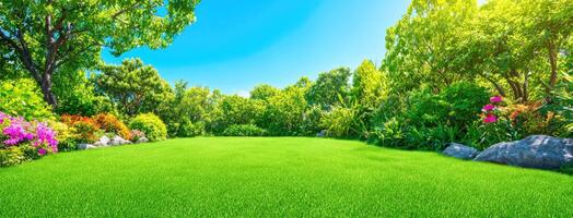 Green grass and flowers in a beautiful garden photo