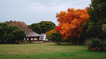 A house with a tree in the foreground and a tree in the background photo
