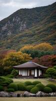 A small japanese house in the middle of a lush green field photo