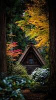 A small cabin surrounded by trees in the fall photo