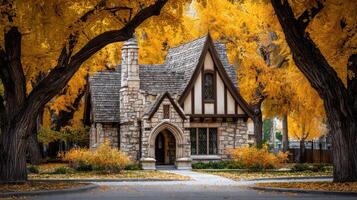 A house surrounded by trees in the fall photo