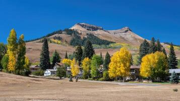 A mountain with trees and houses in the foreground photo