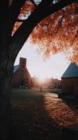 A church is seen in the background with a tree in the foreground photo