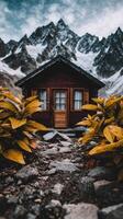 A small cabin in the mountains with plants and rocks photo