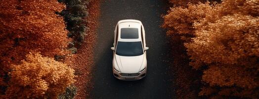 An aerial view of a white car driving through a forest photo