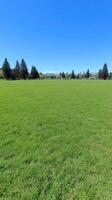 A grassy field with a large open area photo