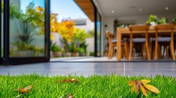 A grassy area with a table and chairs in the background photo