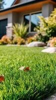 Artificial grass in front of a house photo