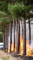 A truck driving down a road with a fire burning photo